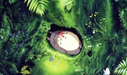 龙猫博士爆料了吗视频播放