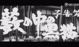 草野中的黑猫在线观看,探寻神秘传说，揭开神秘面纱