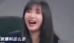 娱乐圈套路爆料小说,爆料小说揭秘幕后真相