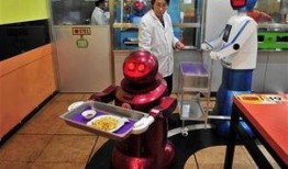 哈尔滨食堂爆料事件视频,食品安全问题引发社会关注