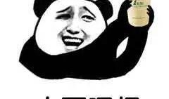 爆料茶叶大哥视频大全,揭秘茶叶世界的精彩瞬间