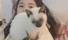 猫脸女孩爆料视频大全集,揭秘神秘事件背后的真相