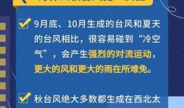 最新台风爆料消息今天新闻,揭秘今日新闻焦点！”