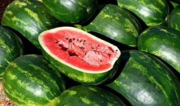 娱乐吃瓜素材图片高清,揭秘娱乐圈幕后故事