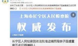 固安翟氏爆料案件最新情况,案情揭秘与调查动态