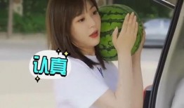 娱乐吃瓜酱可爱的司机,揭秘可爱司机背后的故事