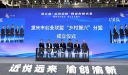 大渝网爆料台石柱新闻,大渝网爆料台最新动态揭晓