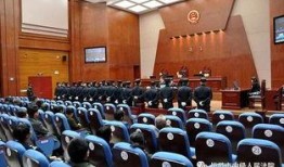 新闻爆料黑势力案件最新,揭秘幕后交易网络