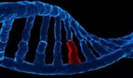 dna 在线观看,在线观看揭示生命密码之旅