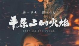 爱之火三邦在线观看,跨越时空的浪漫传奇在线观看之旅