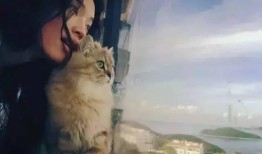 四只猫闺蜜爆料视频大全,独家爆料视频大盘点