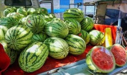 淄博网红吃瓜事件真相,揭秘背后真相与反思