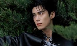 王鹤棣娱乐大爆料,揭秘明星幕后故事与真实生活