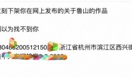 鲁山爆料者最新回应,揭秘事件真相与后续发展