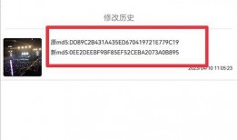 成功爆料视频素材下载,教你轻松获取热门视频资源