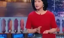 圈内爆料鬼见愁,圈内爆料背后的神秘故事