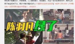 爆料七日大结局解析视频,揭秘剧情高潮与悬念揭晓