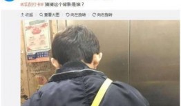 卓伟最新爆料何炅张一山,卓伟最新爆料揭示娱乐圈不为人知的一面