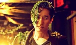 刘嘉欣爆料视频在线观看,揭秘娱乐圈不为人知的幕后真相
