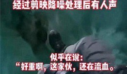 深圳口岸爆料事件视频播放,事件真相究竟如何？