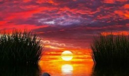 几度夕阳红在线观看,重温经典，共赏岁月如歌