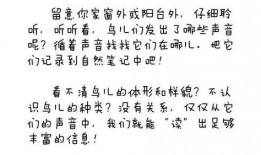 绝代风华吃瓜日记免费阅读,宫廷秘史中的吃瓜日记