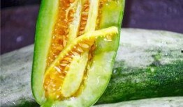 网红蔡二哥吃瓜,揭秘网红圈幕后故事