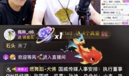 权哥商业爆料视频播放,视频播放背后的商业秘密