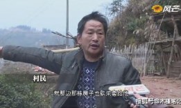 同村爆料牛爱芳视频,牛爱芳视频引发热议，真相究竟如何？