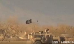 美国爆料美军车队视频,揭秘美军真实战地行动