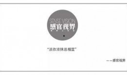 感官视界在线观看,沉浸式视觉盛宴，带你领略无限可能