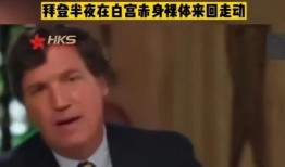 美国主持人爆料视频,独家爆料视频内容大揭秘