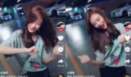 网红大姐爆料事件视频大全,揭秘网络热点背后的真相