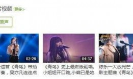 音乐爆料博主是谁呀视频,揭秘热门视频背后的神秘人物