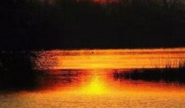 几度夕阳红在线观看,重温经典，共赏岁月如歌