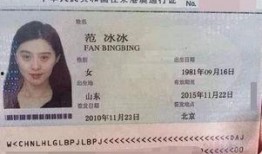 目前最新通行证爆料图,图解未来出行新趋势