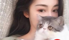 猫脸女孩爆料视频大全集,揭秘神秘事件背后的真相