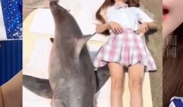 大鹅网红爆料视频大全集,揭秘网络红人幕后故事