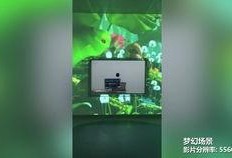 爆料茶叶大哥视频大全,揭秘茶叶世界的精彩瞬间