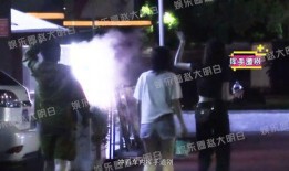 刘诗诗最新八卦爆料视频,揭秘明星私生活幕后真相