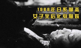 草野中的黑猫在线观看,探寻神秘传说，揭开神秘面纱