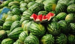 淄博网红吃瓜事件真相,揭秘背后真相与反思