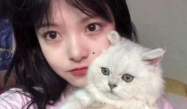 猫脸女孩爆料视频大全集,揭秘神秘事件背后的真相