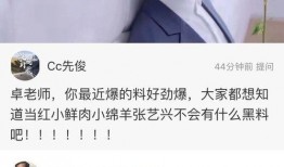 卓伟爆料过吴磊吗视频,揭秘吴磊幕后真相