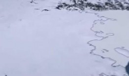 南极最新爆料消息视频