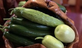 网红蔡二哥吃瓜,揭秘网红圈幕后故事