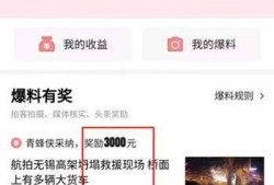视频爆料平台,真相与争议并存