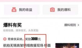 视频爆料平台,真相与争议并存