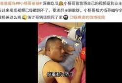杨爸爆料视频大全最新一期,揭秘娱乐圈幕后真相