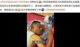 杨爸爆料视频大全最新一期,揭秘娱乐圈幕后真相